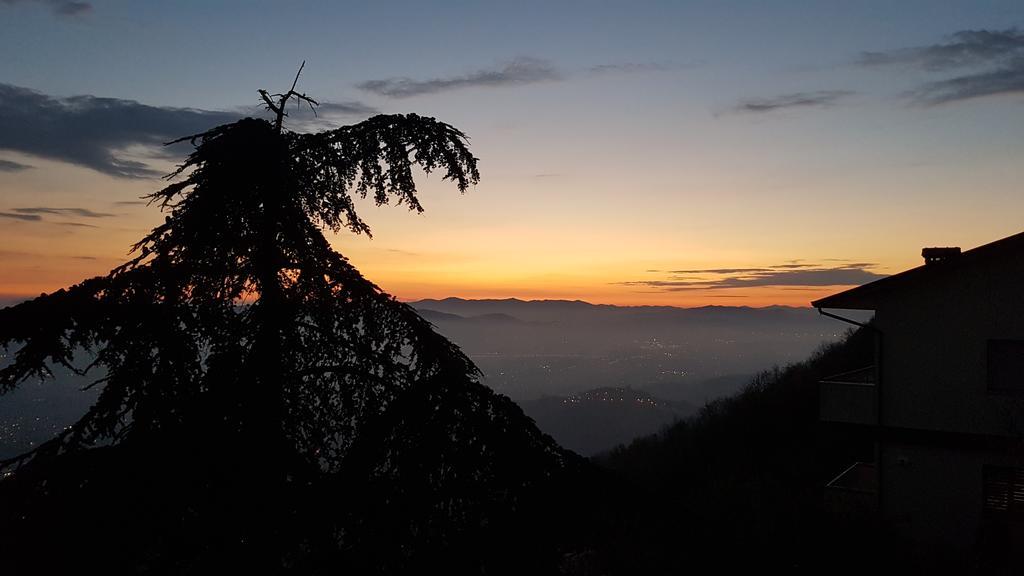 Hotel Ristorante Radar Carrara Dış mekan fotoğraf