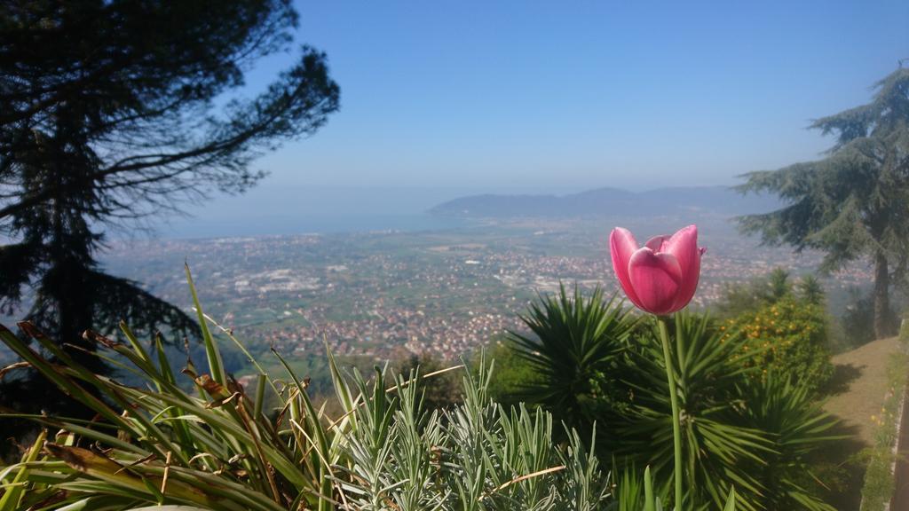 Hotel Ristorante Radar Carrara Dış mekan fotoğraf