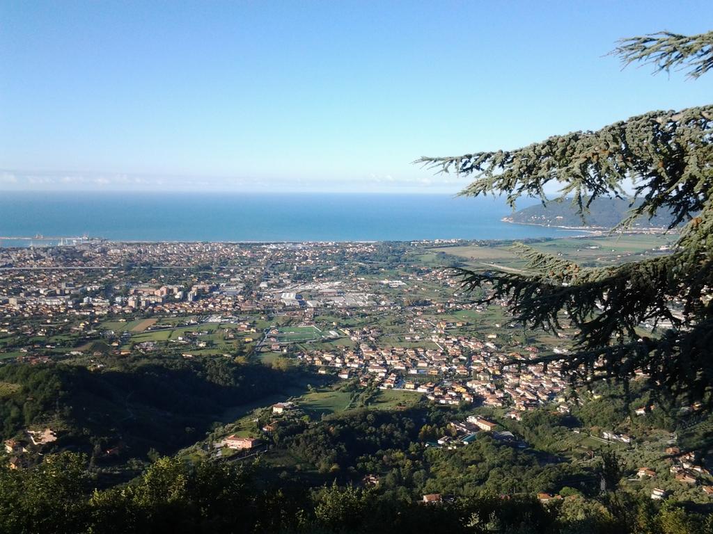 Hotel Ristorante Radar Carrara Dış mekan fotoğraf